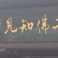 /photo/578464/12345/照片 069_1_1_small.jpg